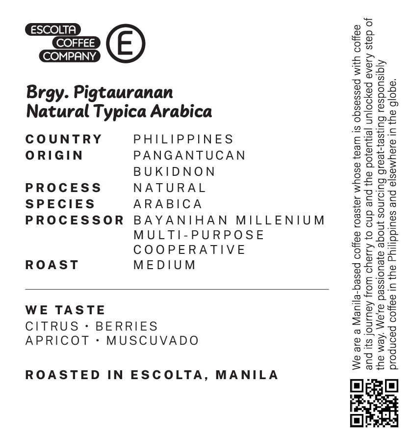 Brgy. Pigtauranan Natural Typica Arabica - BMMPC