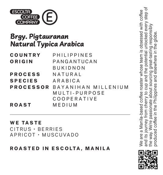 Brgy. Pigtauranan Natural Typica Arabica - BMMPC