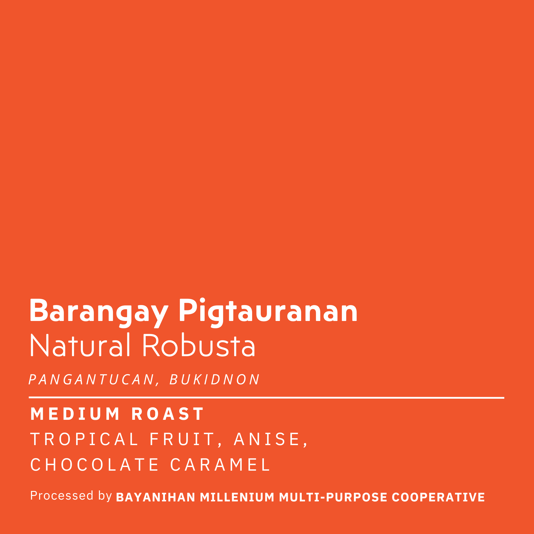 Brgy. Pigtauranan Natural Robusta