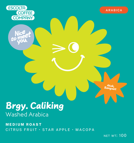 Brgy. Caliking Washed Arabica - Baruch Farm