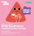 Sitio Balutakay Anaerobic Natural Catimor