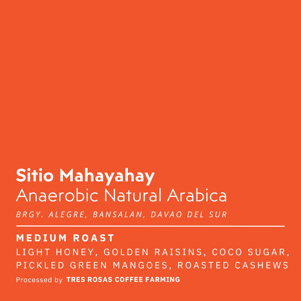 Sitio Mahayahay Anaerobic Natural Arabica