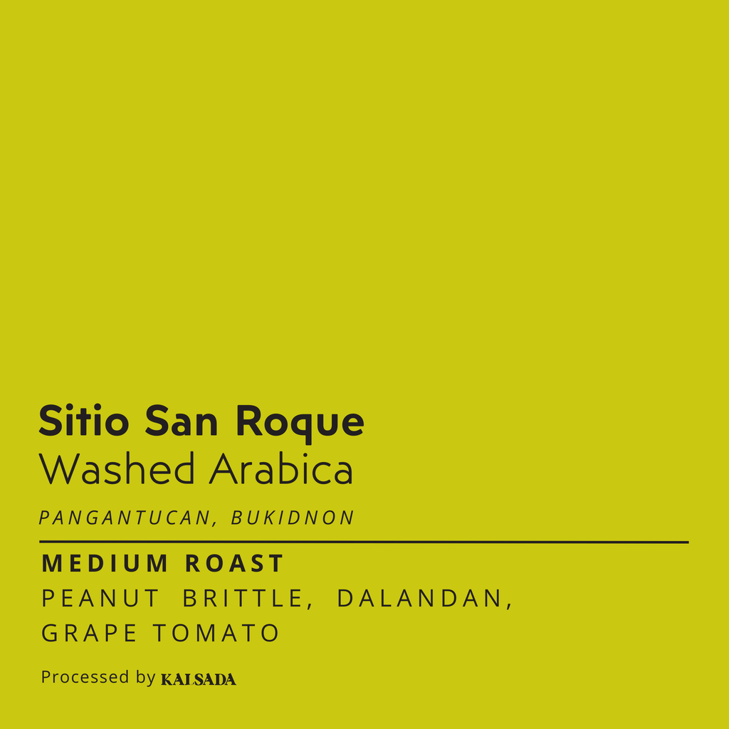 Sitio San Roque Washed Arabica